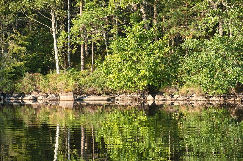 Meer in Zweden met bomen aan de oever van Martin Köbsch