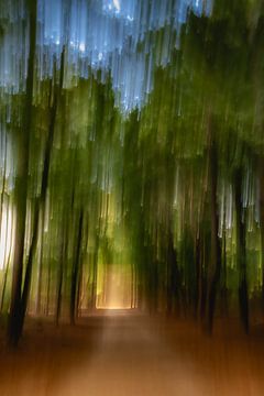 Forêt peinte avec caméra