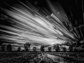 Tempus fugit by Lex Schulte