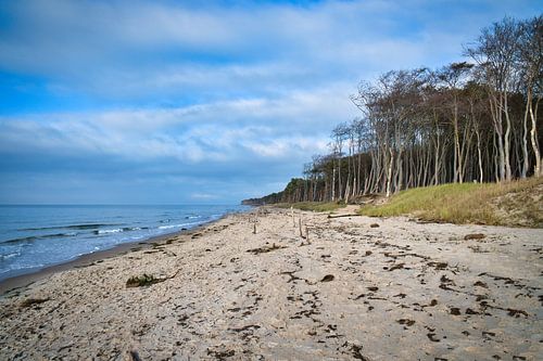 Op het zandstrand van de Oostzeekust