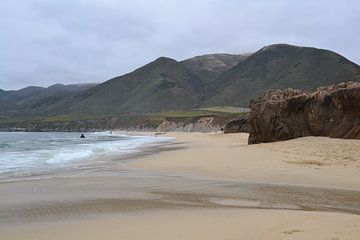 The Beach by Wessel Smit