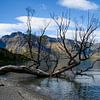 Lake Wakatipu van Ton de Koning
