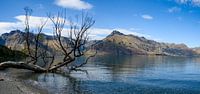 Lake Wakatipu van Ton de Koning thumbnail