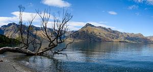 Lake Wakatipu