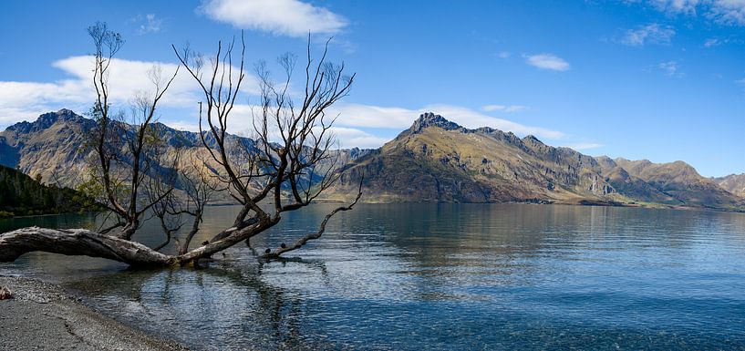 Le lac Wakatipu par Ton de Koning