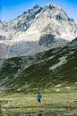 Wandern in den Alpen von Hidde Hageman Miniaturansicht