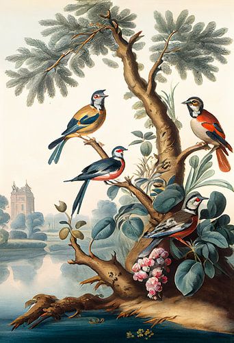 Group of tropical birds