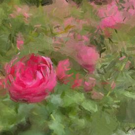 Roses in August by Marianna Pobedimova