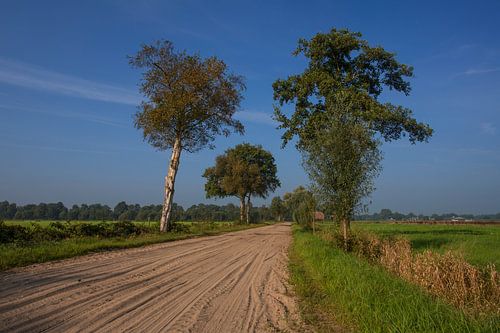 Landschap bij Okkenbroek