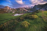 Asturias Lago de la Ercina van Jean Claude Castor thumbnail