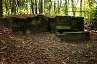 Bunker uit de tweede wereldoorlog in de bossen van de Amsterdamse waterleidingduinen