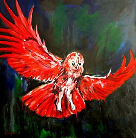 Little owl by Eberhard Schmidt-Dranske