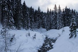 Rivier aan het bos von Jeroen Meeuwsen