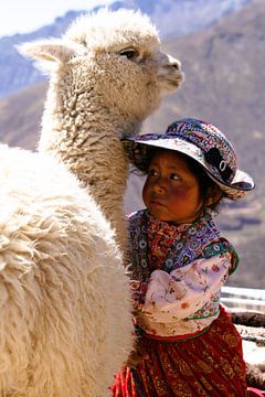 Girl with alpaca by Gert-Jan Siesling