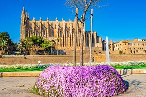 Cathédrale La Seu à Palma de Majorque, Espagne sur Alex Winter