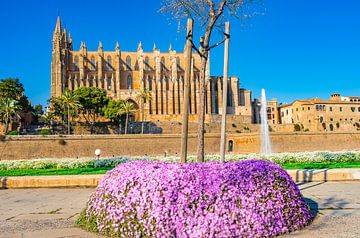 Kathedraal La Seu in Palma de Majorca, Spanje van Alex Winter