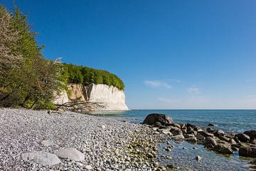 Chalk cliff on shore of the Baltic Sea van Rico Ködder