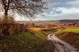 Chemin de terre sinueux vers De Piepert sur Rob Boon