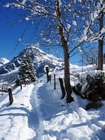 Wandelpad in de sneeuw