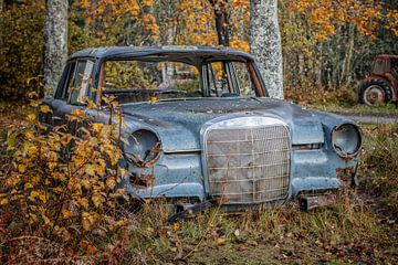 Des traces de rouille dans la forêt - Un cimetière de voitures en Suède sur Gentleman of Decay
