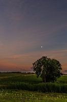 Clair de lune