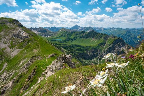 Edelweiss met uitzicht over de Schrecksee naar de Allgäuer Alpen