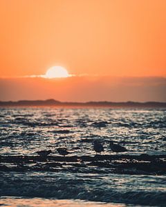Norderney - Sonnenuntergang