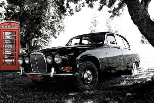 Britische Grosskatze