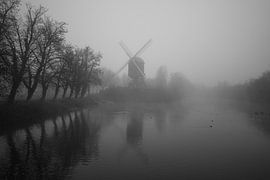 nebliger Morgen am Diest von Bart Liesenborgs