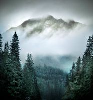 Berg groen