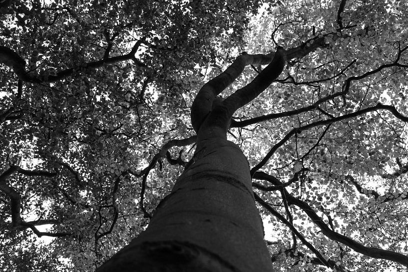 Strength and beauty by Captured By Julia