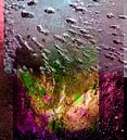 Splashes of Life...levens bubbels van Rudi Lippi thumbnail