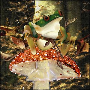 Ausschau - Frosch auf Fliegenpilz