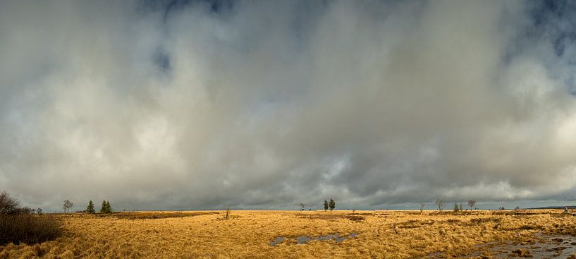Panorama Hoge Venen van Lex Schulte