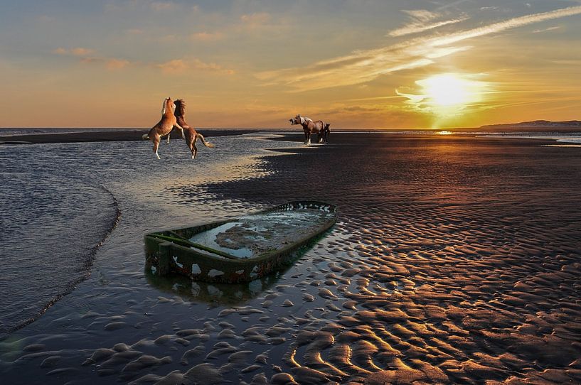 Surrealistisch strand beeld van Henk de Boer