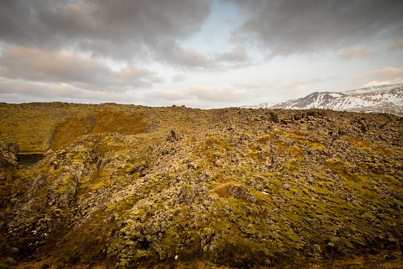 Isländische Landschaft mit Moos von Marcel Alsemgeest