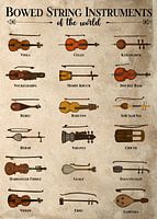 String instruments from all over the world