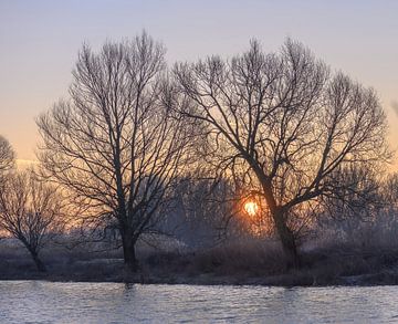 Wintersonne auf Meinerswijk von Tania Perneel