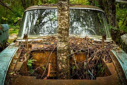 Bastnas Autofriedhof in Schweden