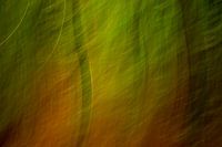 Season swirls