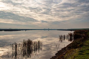 Winter water weerspiegeling zonsondergang van Jacoline van Dijk