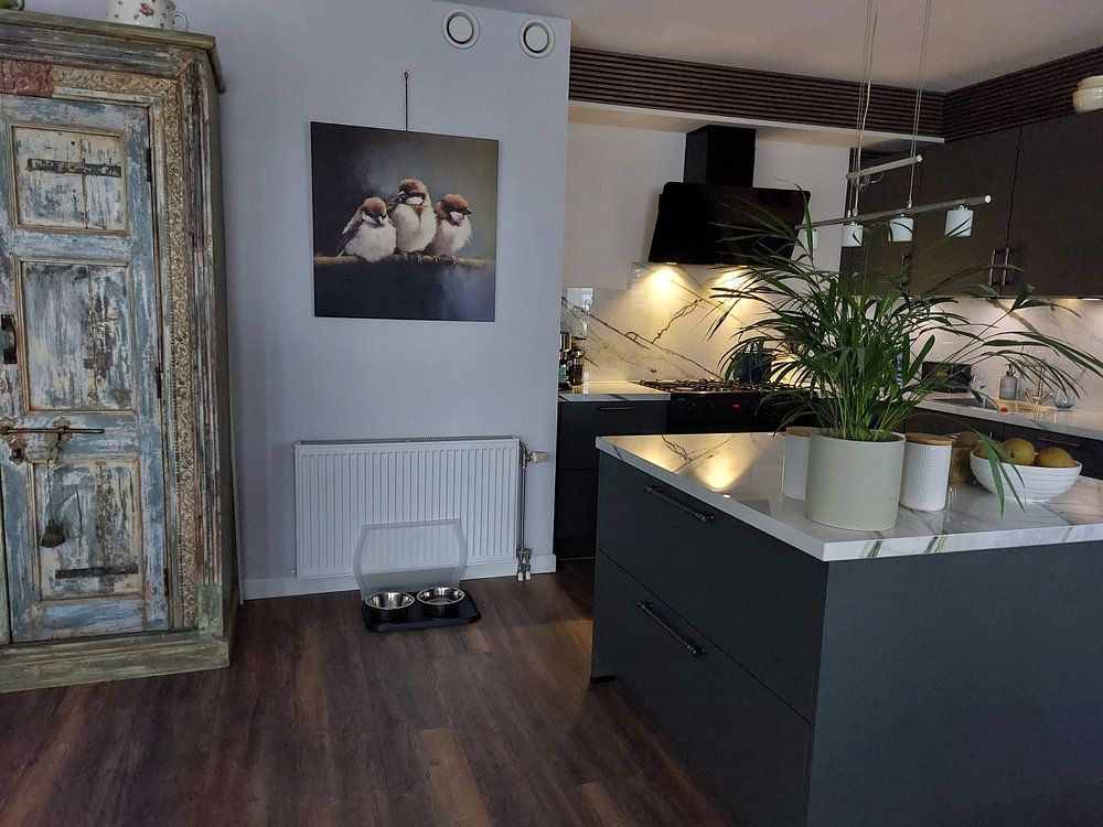 Feathered Friends  by Color Square 