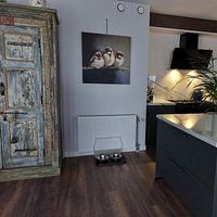 Klantfoto: Gevederde Vrienden van Color Square, op canvas