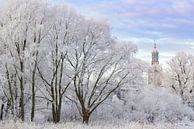 efrorene Bäume mit dem Nieuwe Toren (neuer Aufsatz) in Kampen von Sjoerd van der Wal Fotografie Miniaturansicht