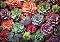 Little Succulents