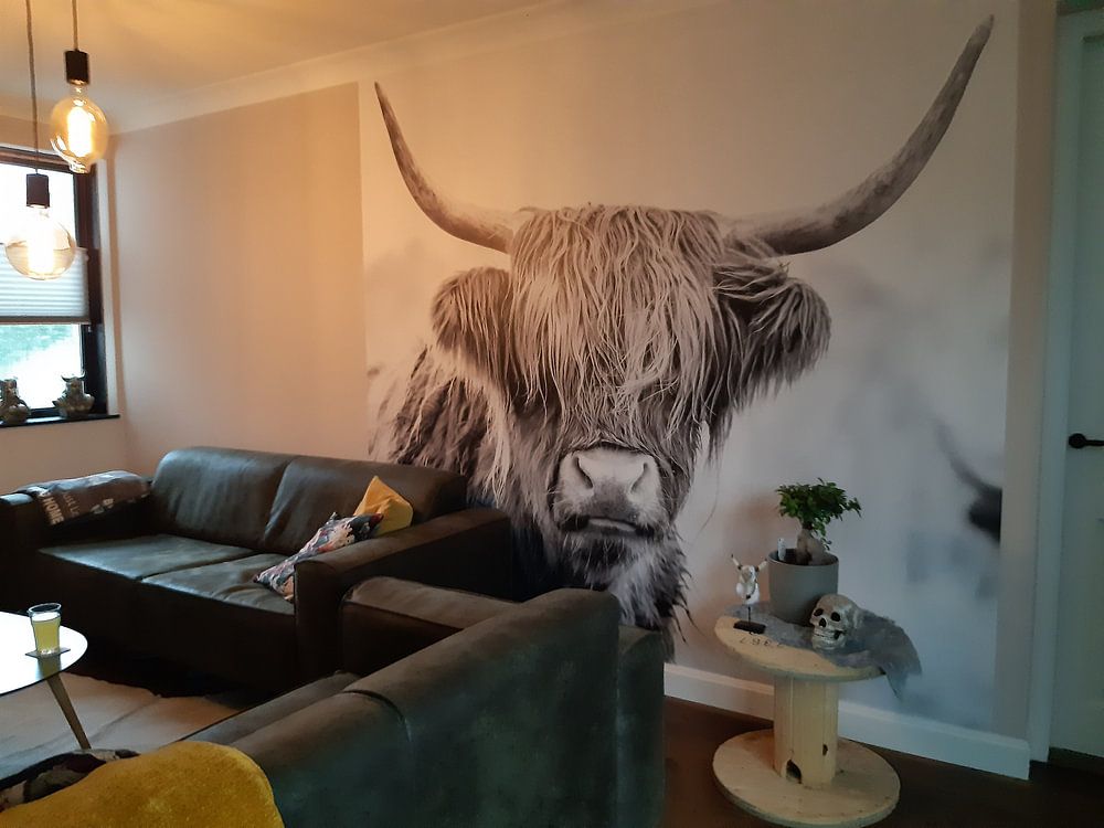 Scottish Highlanders dans la réserve naturelle de Jiltdijksheide (noir et blanc) par Martijn van Dellen