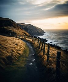 Clôture dans le paysage