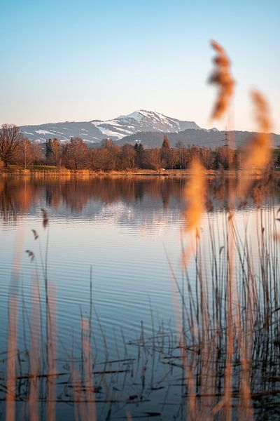 Reflection of the Sulzberger lake with the Grünten in the evening by Leo Schindzielorz