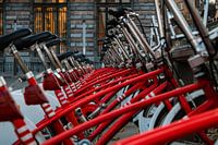 Des vélos rouges en rang