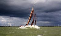 Lemsteraak im Sturm